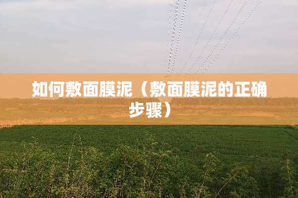 如何敷面膜泥（敷面膜泥的正确步骤）