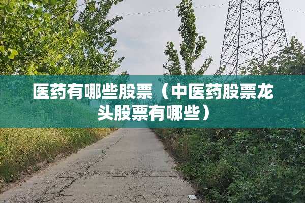 医药有哪些股票（中医药股票龙头股票有哪些）
