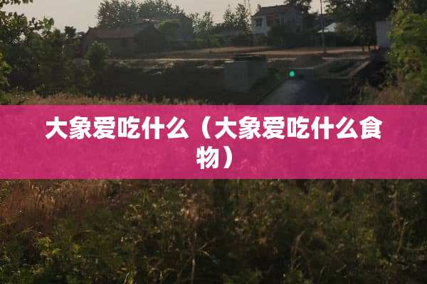 大象爱吃什么（大象爱吃什么食物）
