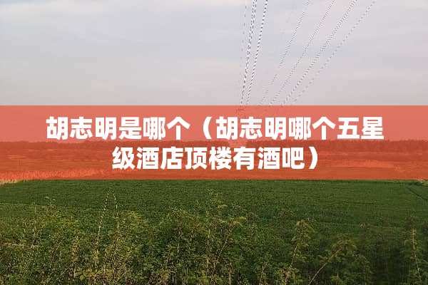 胡志明是哪个（胡志明哪个五星级酒店顶楼有酒吧）
