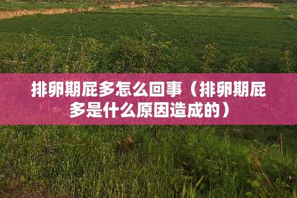 排卵期屁多怎么回事（排卵期屁多是什么原因造成的）