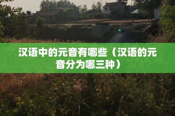 汉语中的元音有哪些（汉语的元音分为哪三种）