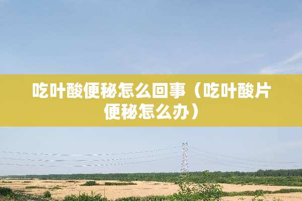 吃叶酸便秘怎么回事（吃叶酸片便秘怎么办）