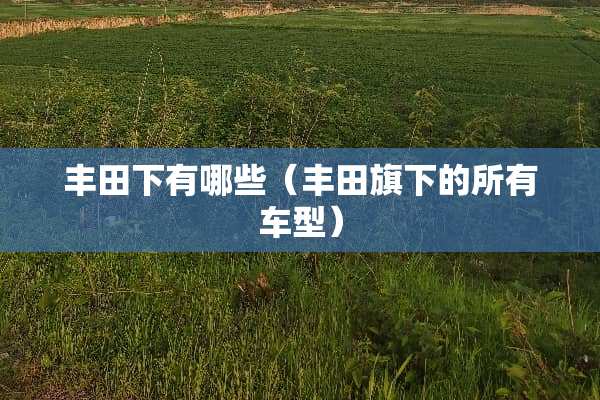 丰田下有哪些（丰田旗下的所有车型）