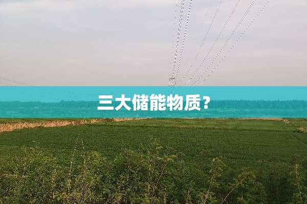 三大储能物质？