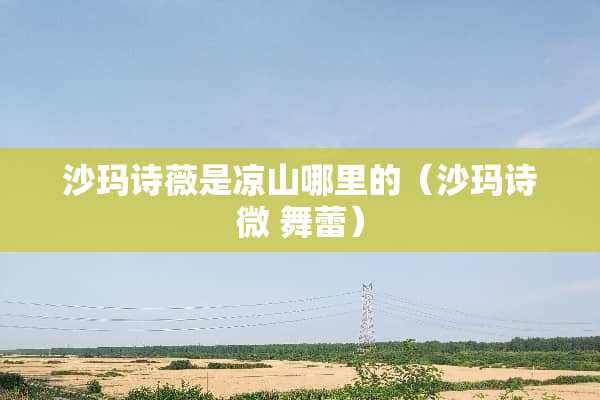 沙玛诗薇是凉山哪里的（沙玛诗微 舞蕾）