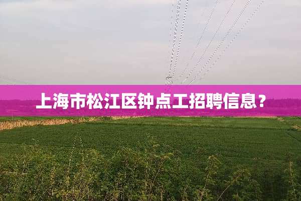 上海市松江区钟点工招聘信息？