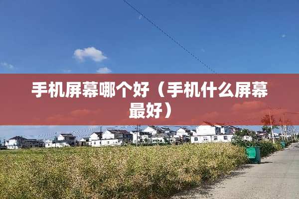 手机屏幕哪个好（手机什么屏幕最好）
