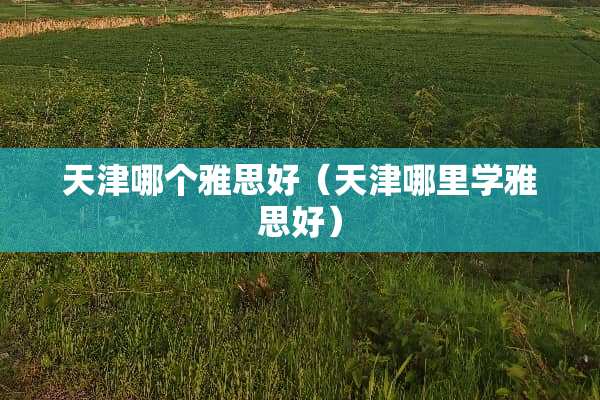 天津哪个雅思好（天津哪里学雅思好）