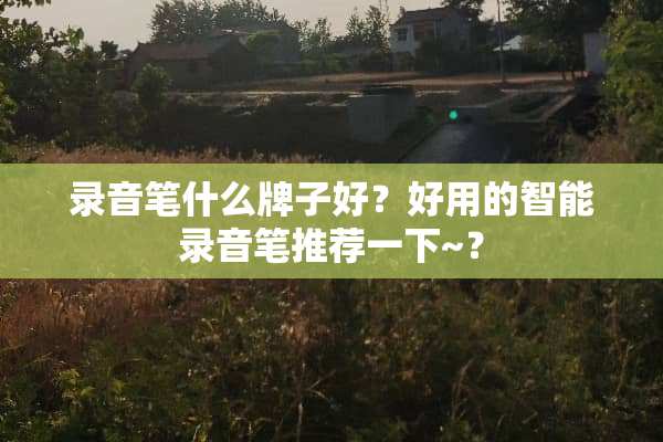 录音笔什么牌子好？好用的智能录音笔推荐一下~？