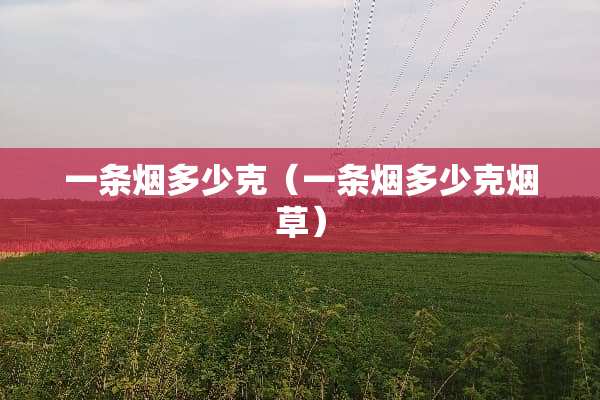 一条烟多少克（一条烟多少克烟草）