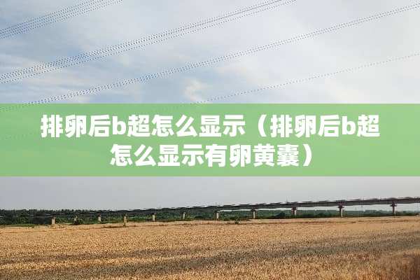 排卵后b超怎么显示（排卵后b超怎么显示有卵黄囊）