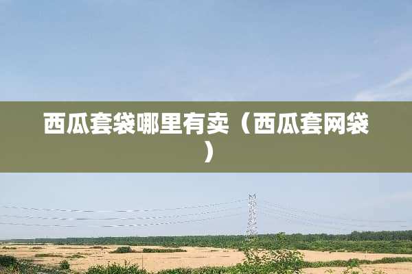 西瓜套袋哪里有卖（西瓜套网袋）