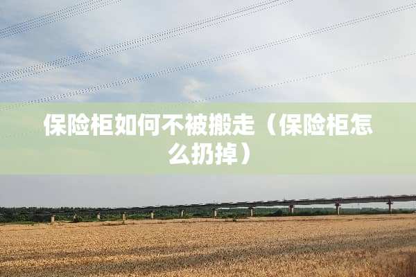 保险柜如何不被搬走（保险柜怎么扔掉）