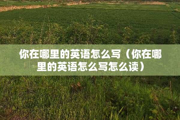 你在哪里的英语怎么写（你在哪里的英语怎么写怎么读）