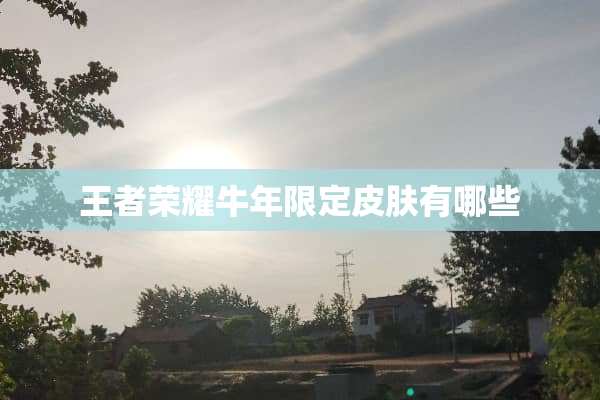 王者荣耀牛年限定皮肤有哪些