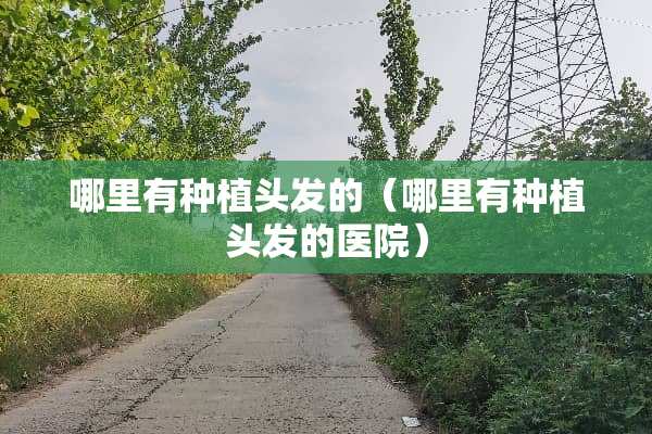 哪里有种植头发的（哪里有种植头发的医院）