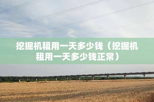 挖掘机租用一天多少钱（挖掘机租用一天多少钱正常）