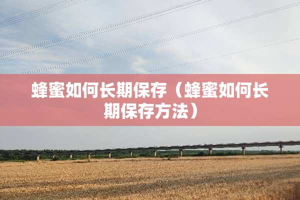 蜂蜜如何长期保存（蜂蜜如何长期保存方法）