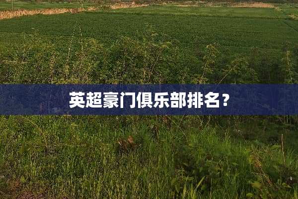 英超豪门俱乐部排名？