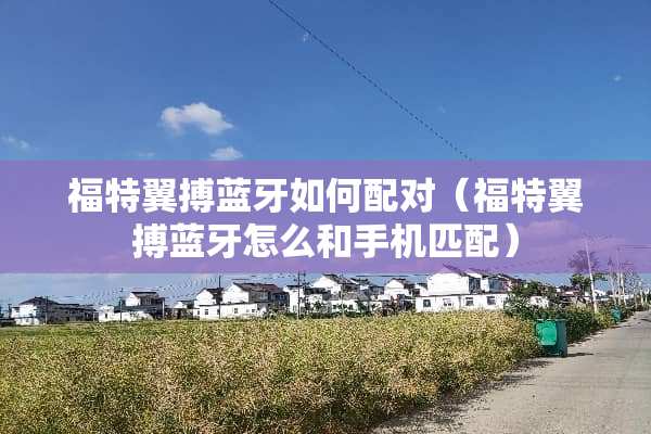 福特翼搏蓝牙如何配对（福特翼搏蓝牙怎么和手机匹配）