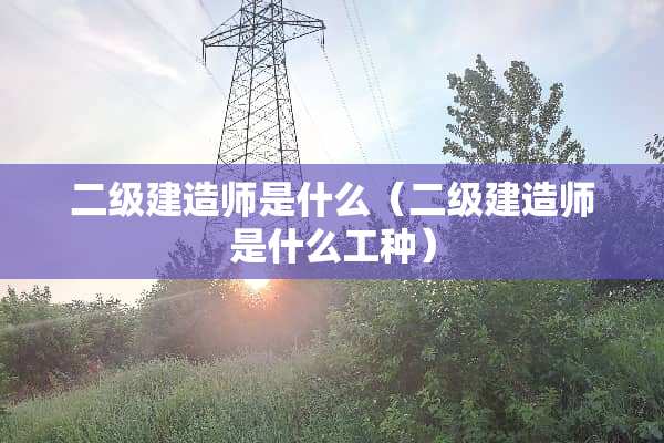 二级建造师是什么（二级建造师是什么工种）