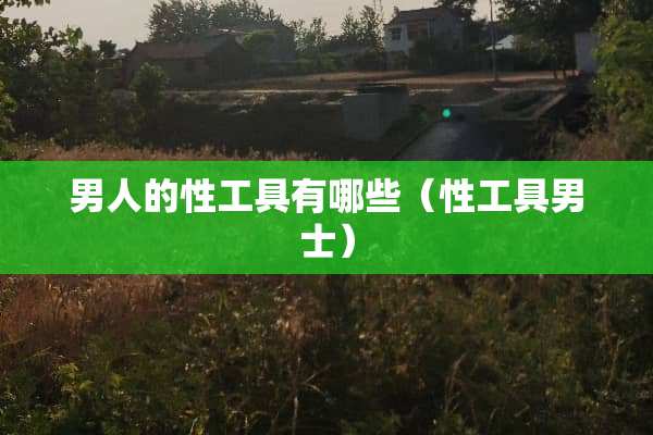 男人的性工具有哪些（性工具男士）