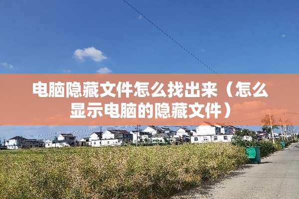 电脑隐藏文件怎么找出来（怎么显示电脑的隐藏文件）