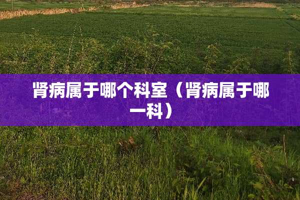 肾病属于哪个科室（肾病属于哪一科）