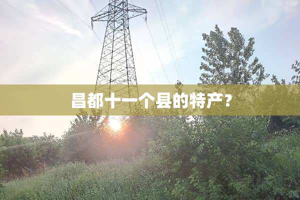 昌都十一个县的特产？