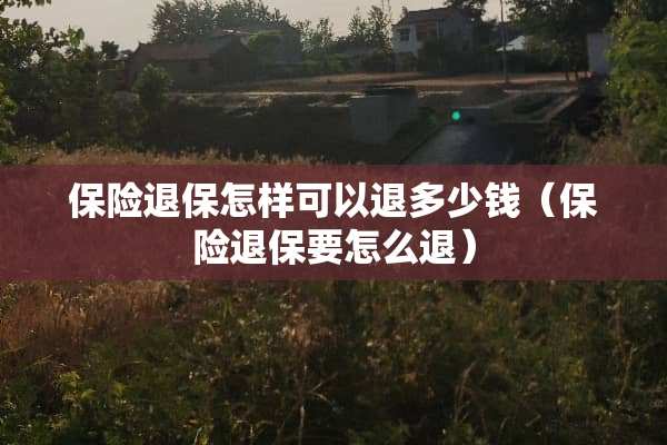 保险退保怎样可以退多少钱（保险退保要怎么退）
