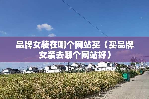 品牌女装在哪个网站买（买品牌女装去哪个网站好）