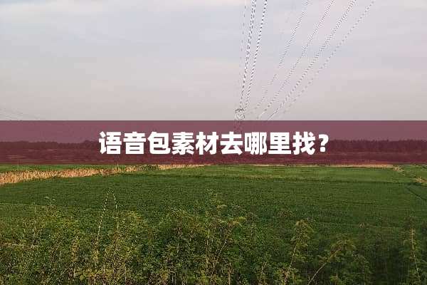 语音包素材去***？
