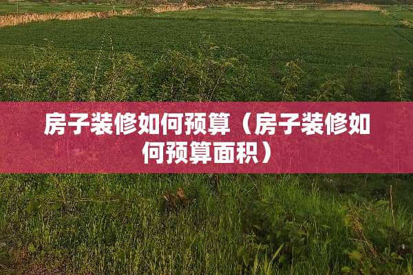 房子装修如何预算（房子装修如何预算面积）