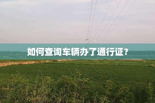 如何查询车辆办了***？