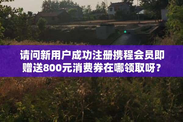 请问新用户成功注册携程会员即赠送800元消费券在哪领取呀？