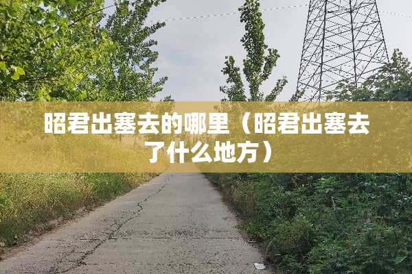 昭君出塞去的哪里（昭君出塞去了什么地方）