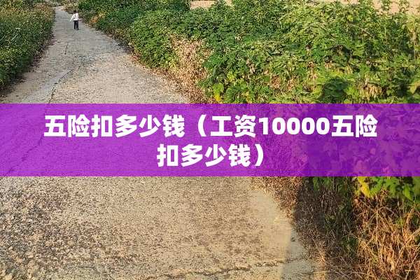 五险扣多少钱（工资10000五险扣多少钱）