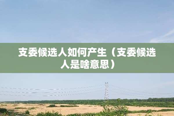 支委候选人如何产生（支委候选人是啥意思）