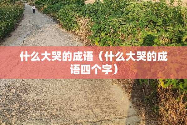 什么大哭的成语（什么大哭的成语四个字）