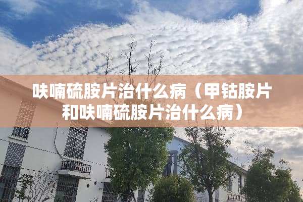 呋喃硫胺片治什么病（甲钴胺片和呋喃硫胺片治什么病）