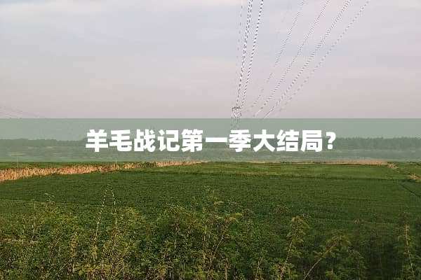 羊毛战记第一季大结局？