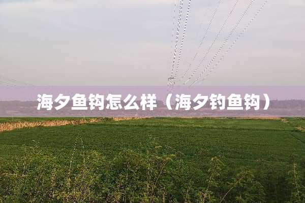 海夕鱼钩怎么样（海夕钓鱼钩）