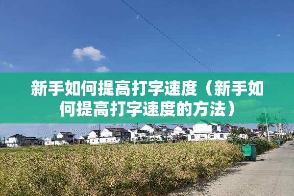 新手如何提高打字速度（新手如何提高打字速度的方法）