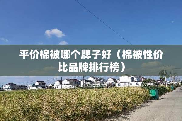 平价棉被哪个牌子好（棉被性价比品牌排行榜）