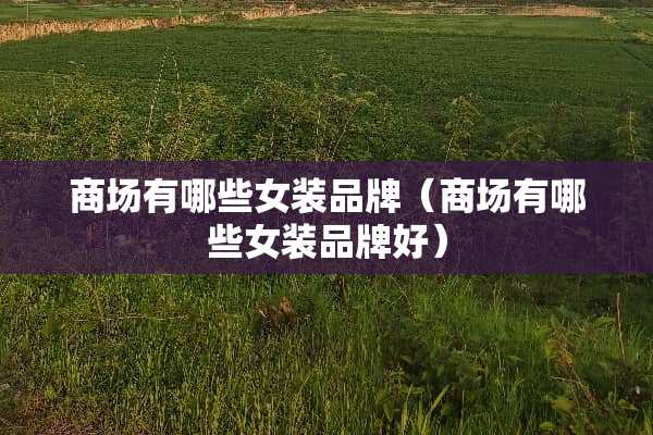 商场有哪些女装品牌（商场有哪些女装品牌好）