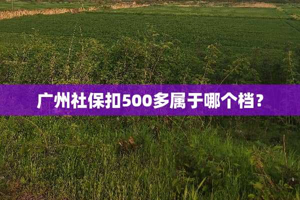 广州社保扣500多属于哪个档？