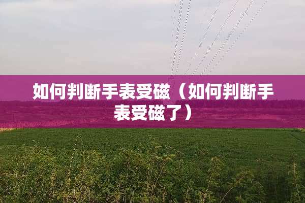 如何判断手表受磁（如何判断手表受磁了）