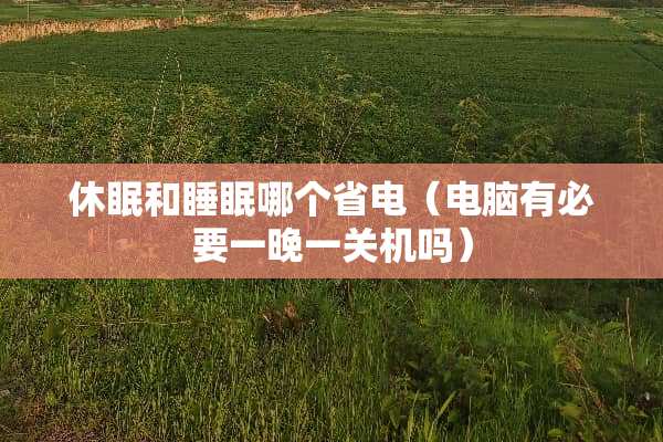 休眠和睡眠哪个省电（电脑有必要一晚一关机吗）