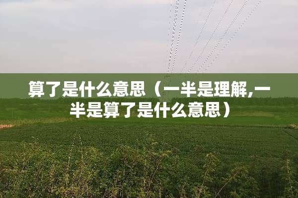 算了是什么意思（一半是理解,一半是算了是什么意思）